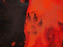 수컷입니다 귀여워해주세요