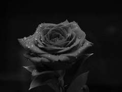 아마이 아이시 과거서사