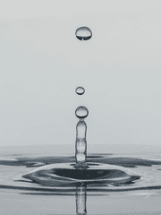 라는 내용의 소설 구함