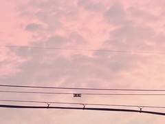 팝핑 스파클링 첫사랑