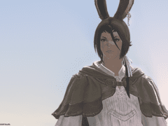 파판14 드림주(남비에라)