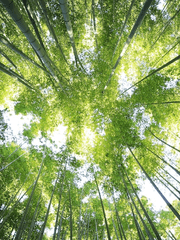 날아 SECOND : 나랑 힐링할래요?