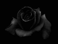 <악녀로 빙의해 악녀를 참교육하러 갑니다.> 1화