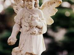 [슬램덩크] 부조화에서 피어나는 것