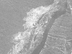 [홍윤] 결혼하자