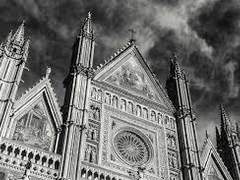 [ 잠뜰 tv / 미수반 × 수이플 ] 「마지막 열차가 들어오고 있습니다.」