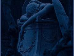 고요한 밤과 존재의 탄생