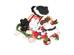 [오마카세] 한접시