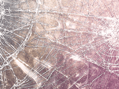 Märchen Lippe Segnitia #24