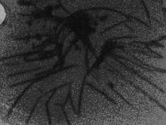 내가 사랑하는 이를 찾았네