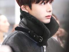 빨강 여우 채채