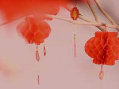 코이즈미 세츠나 / 자시키와라시 / XX