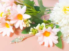 백린소현 : 달맞이꽃 (현대AU)