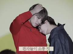 알페스러 시점 고잉세븐틴 최애픽