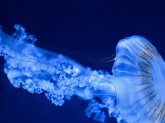 다 그려버렸네.