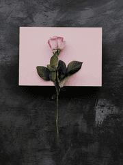 내게 키스해(KISS ME)