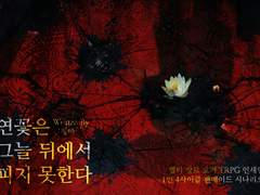 연꽃은 그늘 뒤에서 피지 못한다