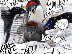 슬램덩크 트위터정리5