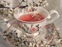 제로피리 백업 - 1