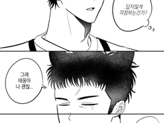 대만선배가 고양이가 돼버렸다.