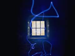 나의 갈라테이아