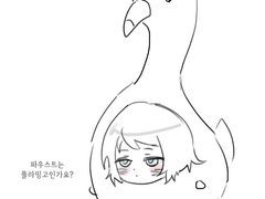 20230226 파우밍고