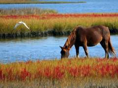 황금의 실타래와 푸른 칼 4