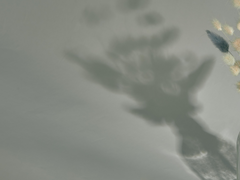 능소화 피는 계절 上