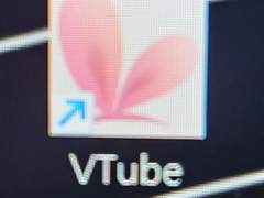 Live2D Vtube studio 적용법