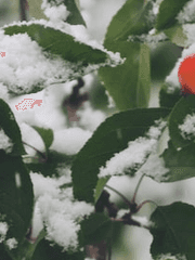 혹시 구해 주실 수 있나요?**