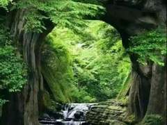 산군지묘 山郡之卯