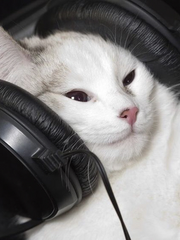 𝐏𝐥𝐚𝐲𝐥𝐢𝐬𝐭