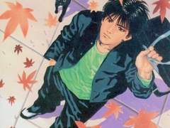 고양이의 애정표현