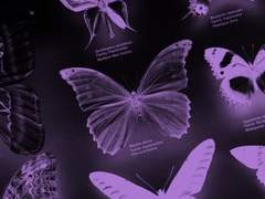 살아야지 살아야겠지*