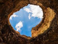 확증 편향의 오류란?