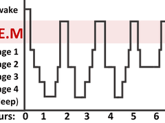 잠을 자면서 꿈을 꾸는 이유