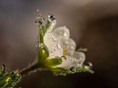 적막 속에 손님은 찾아오지 않는다