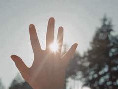 누군가 그러지 않던가, 인생은 일촌광음불가경. 단 한시간이라도 헛되게 허비해서는 아니되죠! ...잠시 잘까?