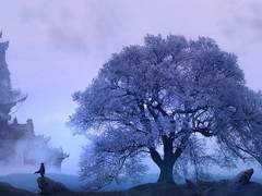 청문 귀환, 천마 계승