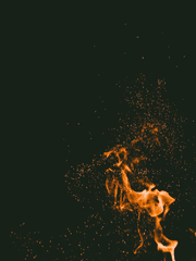 이번 생은 착한 미녀로 살겠습니다