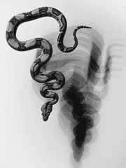 [BL] 싸이코새끼