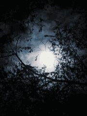 신비아파트 이안가은-뱀파이어는 엘프를 사랑했다.