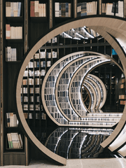 참담한 후회와 찬란한 미래로 이루어진