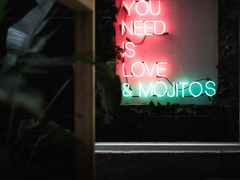 우리가 서로 사랑하는 이유