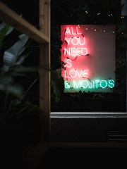 우리가 서로 사랑하는 이유