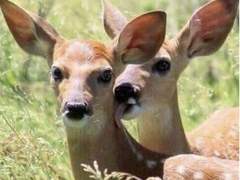 2023.02.25 메이즈러너 일일펍 후기