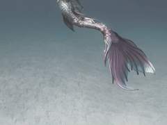 인어왕자 (The little merman) -1