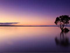 고독한 군중이란 무엇일까?