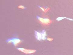 어느 밤의 기록