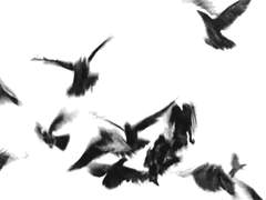 愛心: 명치가 아릴 정도로 좋다.